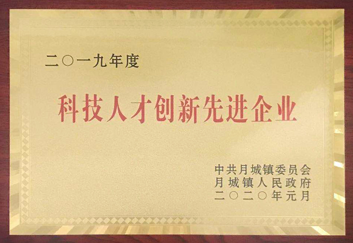 2019年度-科技人才創(chuàng)新先進企業(yè)