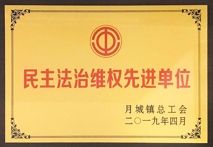 2019年度-民主法治維權(quán)先進單位