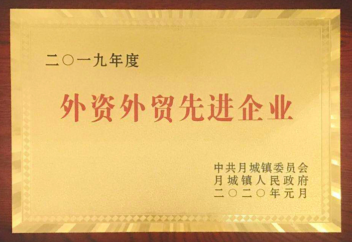 2019年度-外資外貿(mào)先進企業(yè)